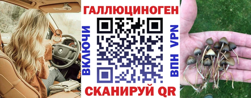 Псилоцибиновые грибы прущие грибы  Купить где  Санкт-Петербург 